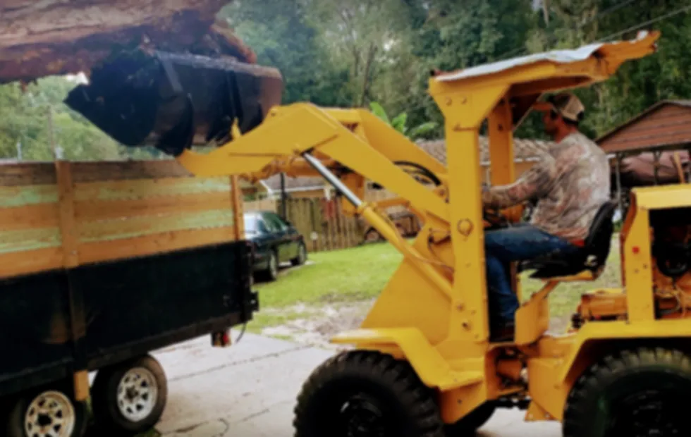 Joe's Tree Service