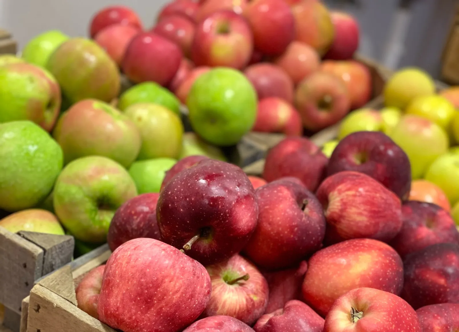 Lohrs Orchard