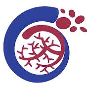 Omni Vascular and Diabetes Wound Care Center logo