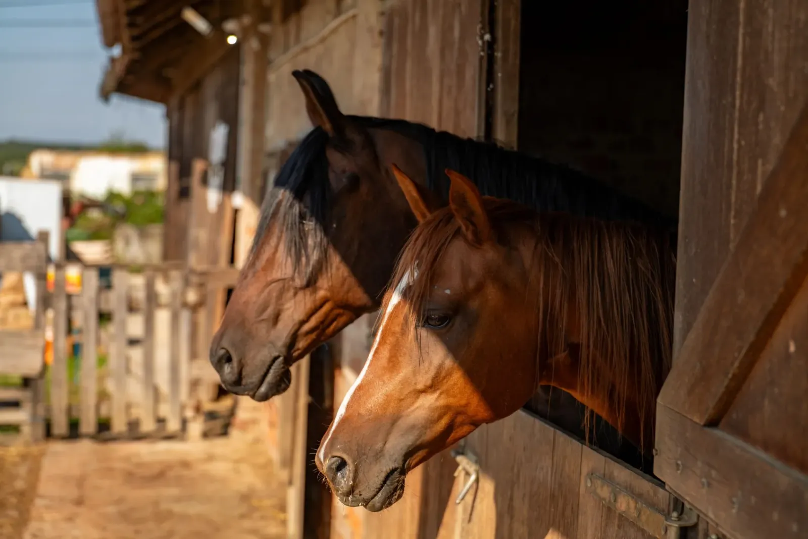 Cleary Lake Veterinary Hospital