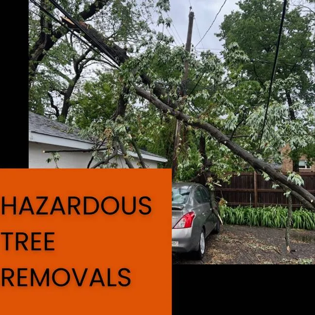 Top Rite Tree LLC