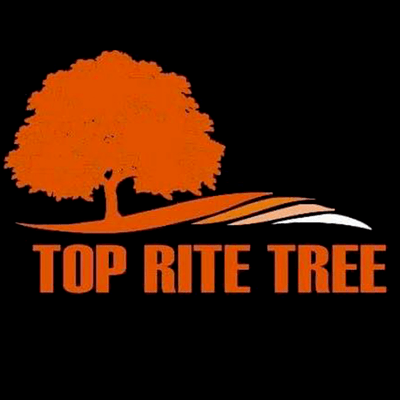 Top Rite Tree LLC logo