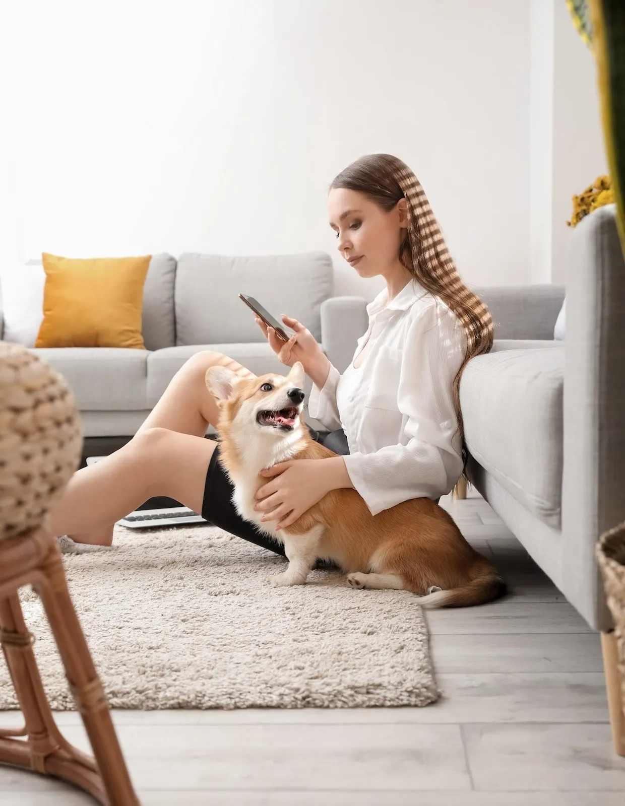 Best Friends Veterinary Hospital