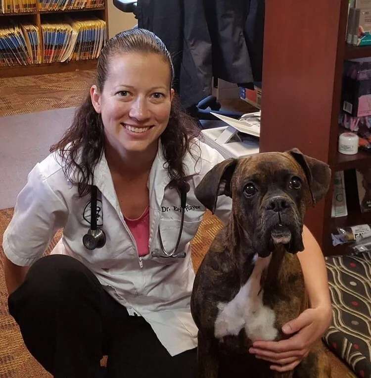 East Greenville Animal Hospital