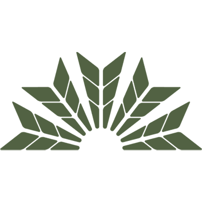Native Sun Cannabis Dispensary Hudson logo