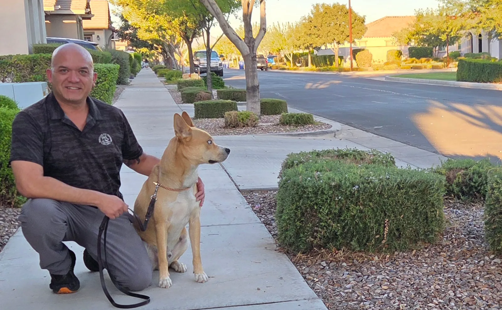 Robinson Dog Training