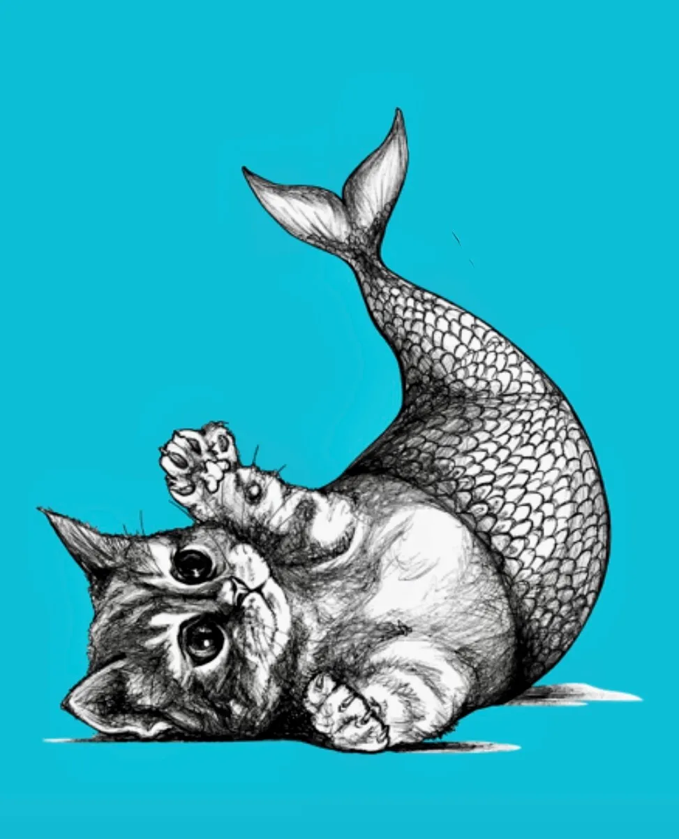 Purrmaid Cafe and Adoption Center