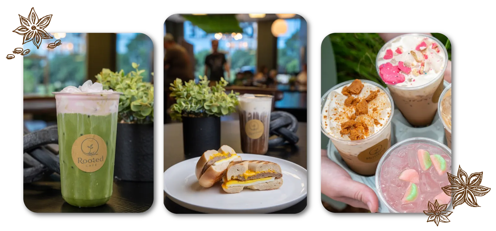 Rooted Cafe