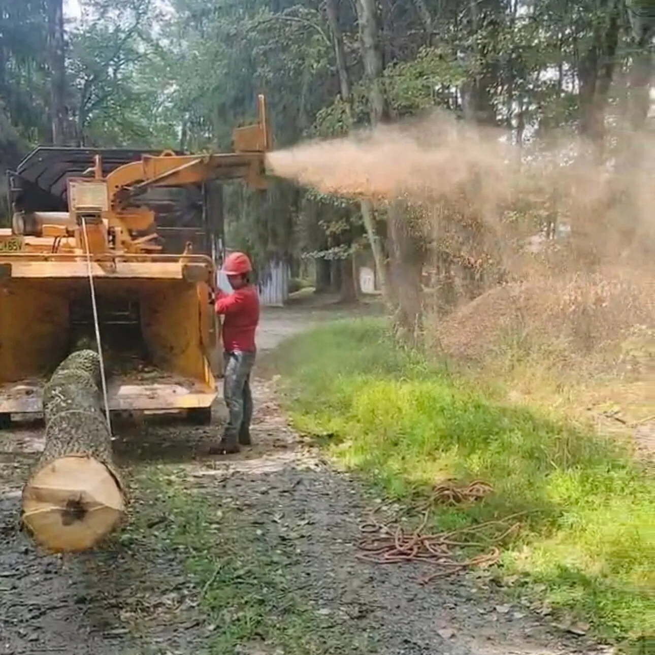 Josué Córdova Tree Service, LLC