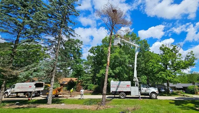 Joe Meyer Tree Service Inc