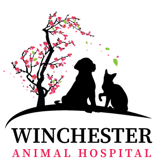 Winchester Animal Hospital logo