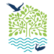 Treetop Village logo