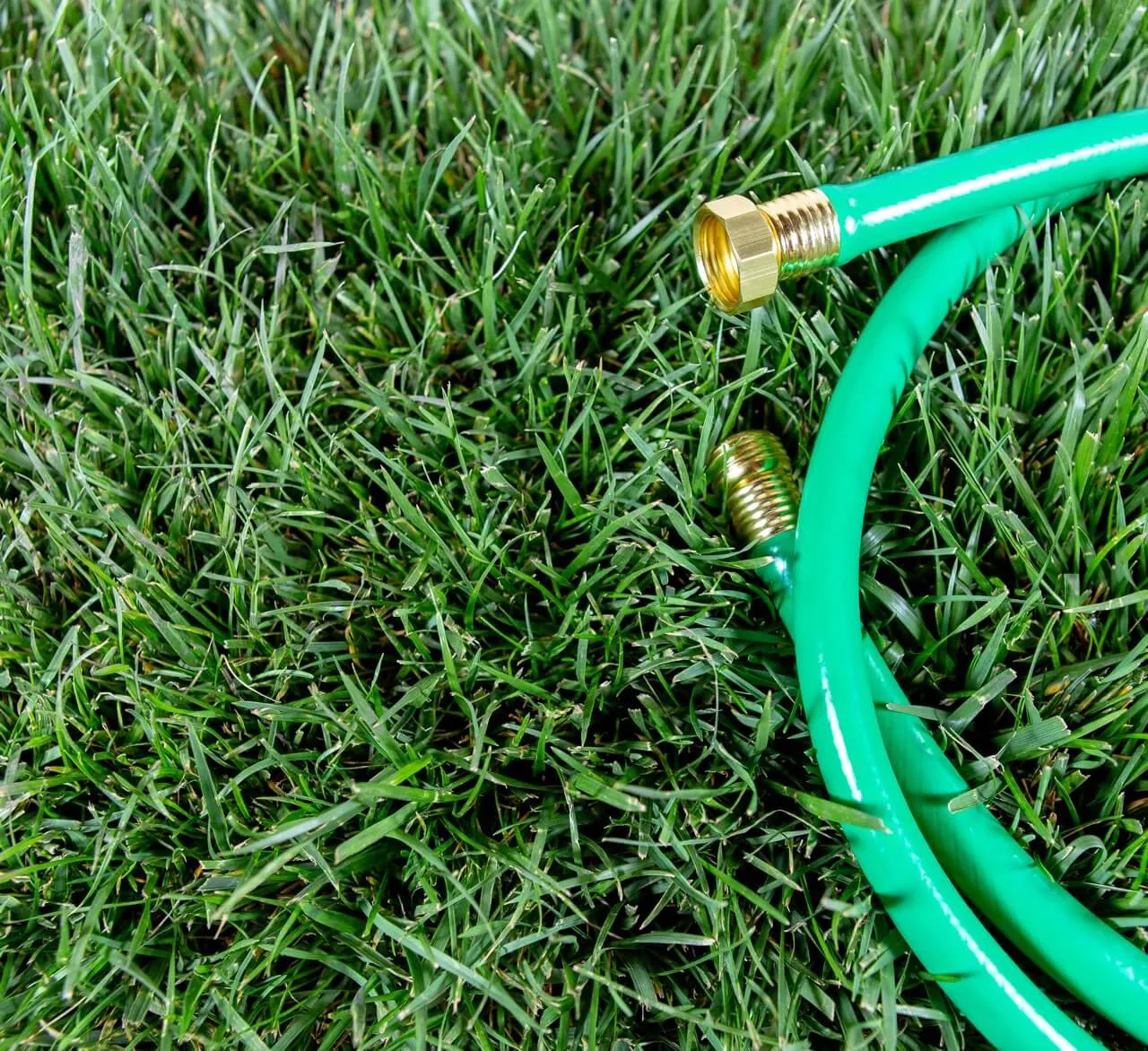 SodLawn