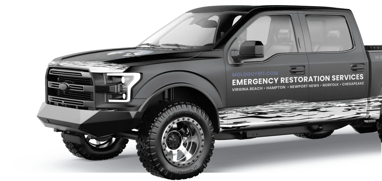 Moldguy911 - Emergency Restoration Services LLC