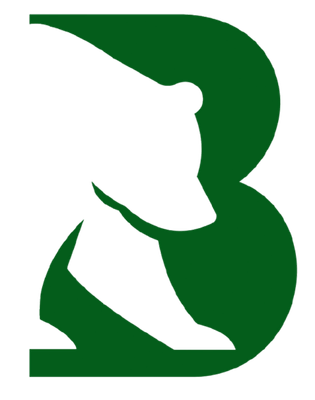 Bear Construction, LLC logo