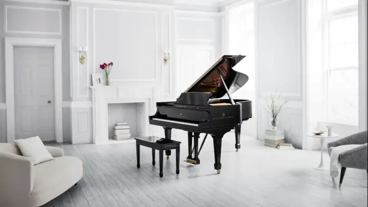 Steinway Piano Gallery