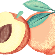 Peachtree City Party Rentals logo