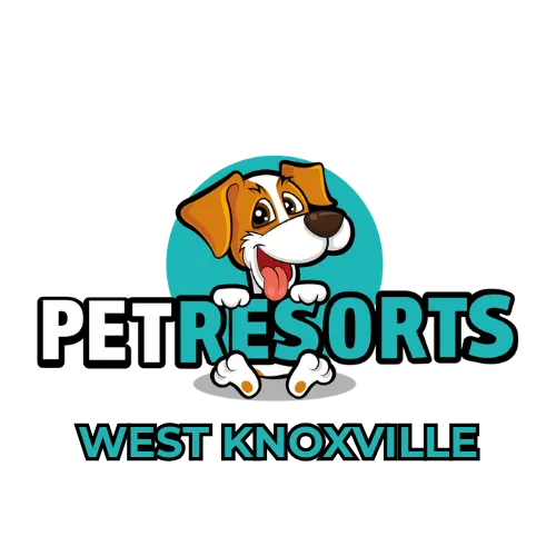 Pet Resorts