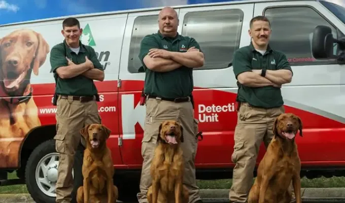 Action Pest Control