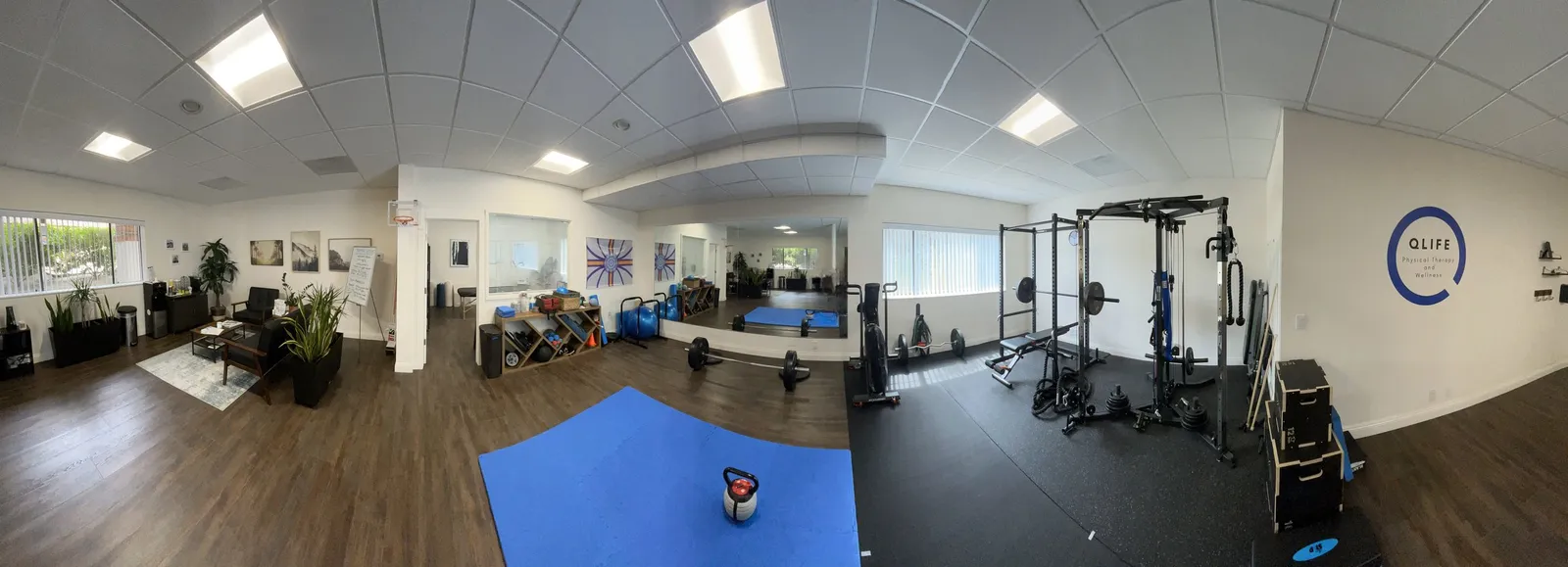 QLife Physical Therapy and Wellness