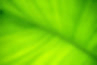 Body Being in Balance Massage logo