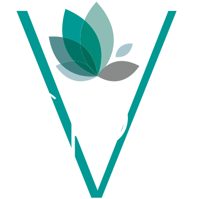 Spa-V logo