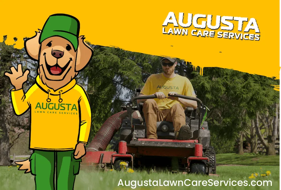 Augusta Lawn Care Services