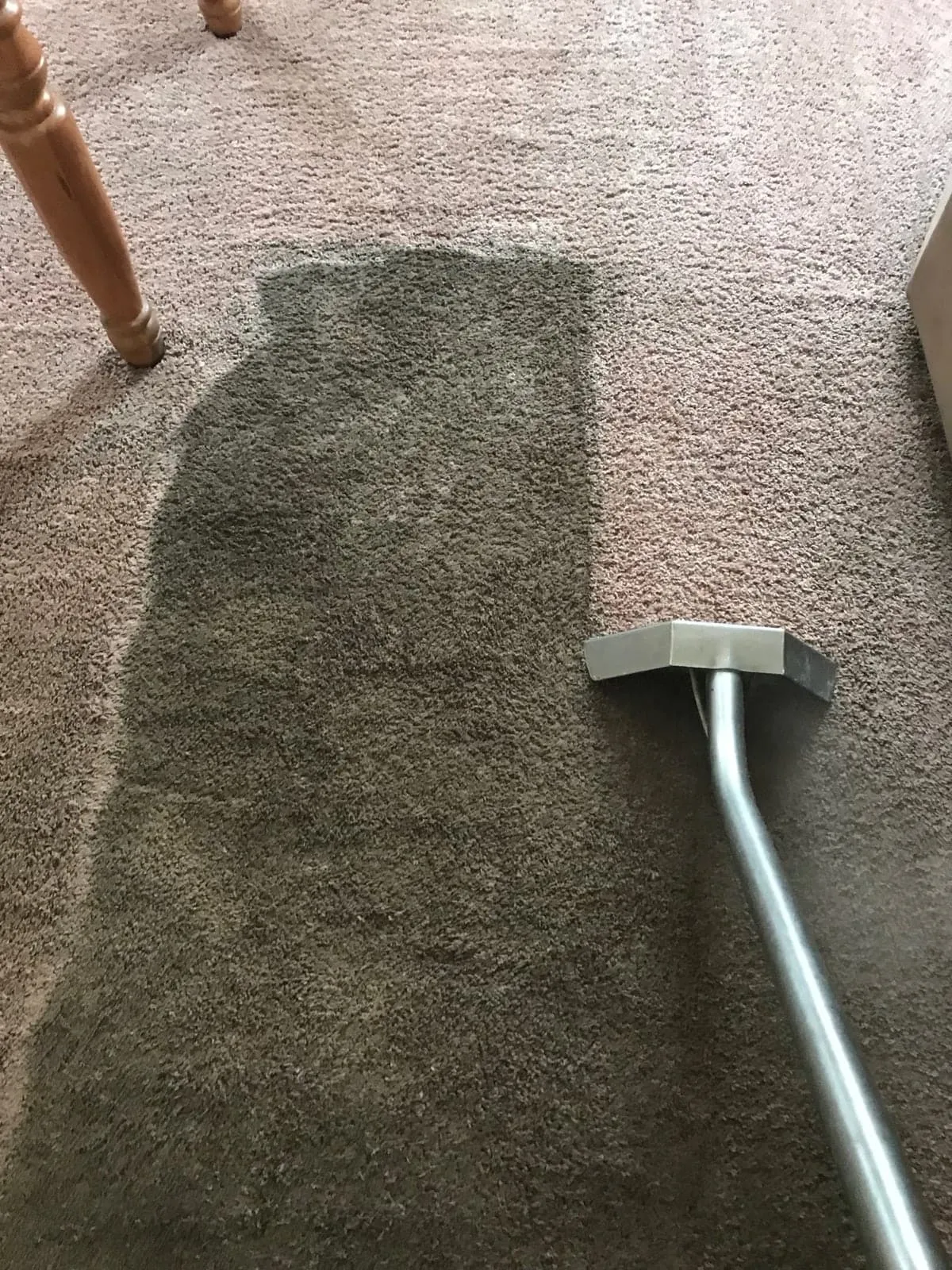 Kaufman Carpet Cleaning