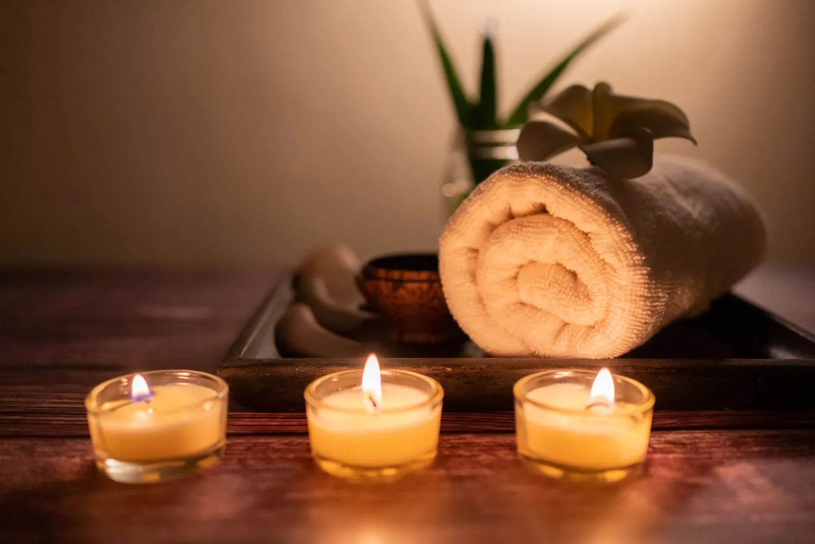 The Zen Zone Wellness- Massage Therapy