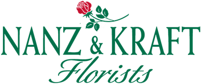 Nanz & Kraft logo