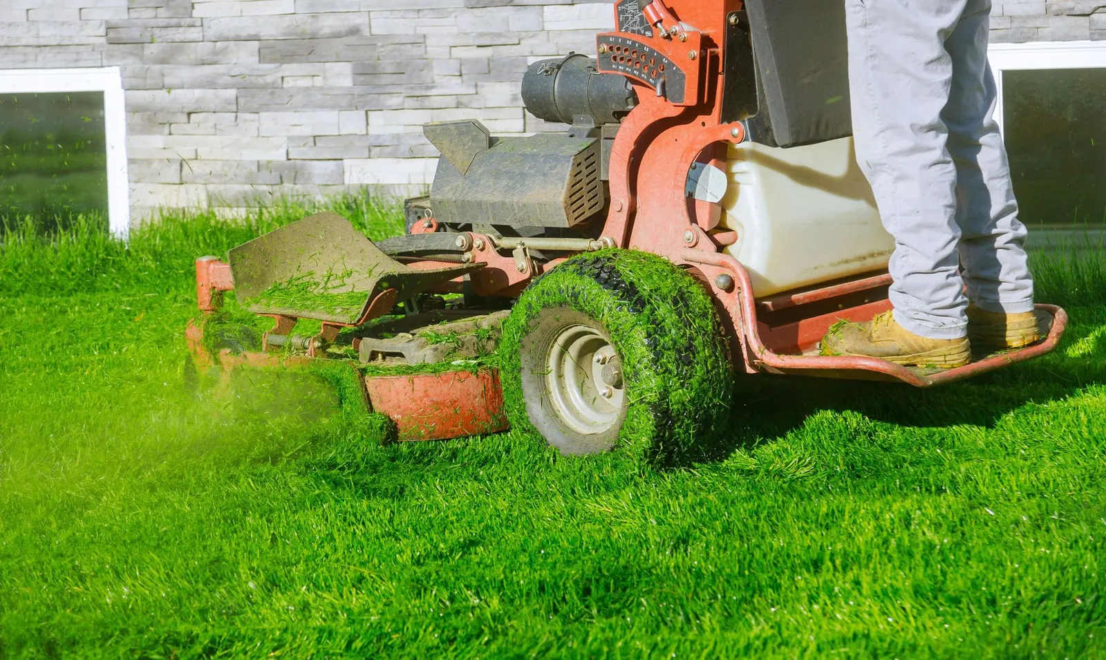 Maiorana Landscaping LLC