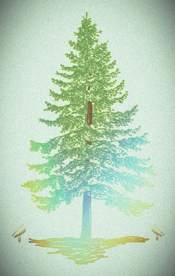 Sacramento Landscape Company logo