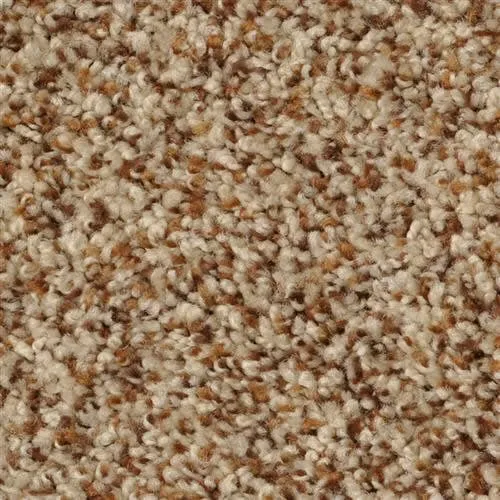 Marsh's Carpet