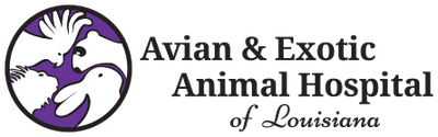 Avian & Exotic Animal Hospital of Lousiana logo