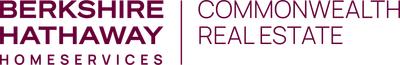The Jim and Mike Savas Team logo