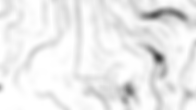 Braddock Bros Tree C logo
