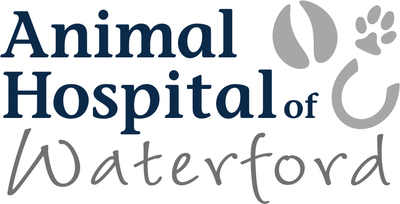 Animal Hospital of Waterford logo