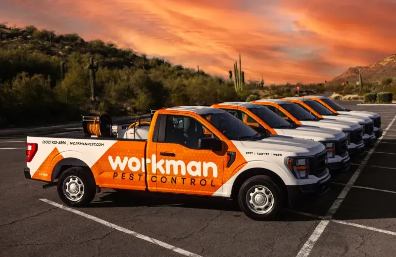 Workman Pest Control