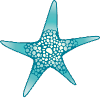 Starfish Hospitality Group logo