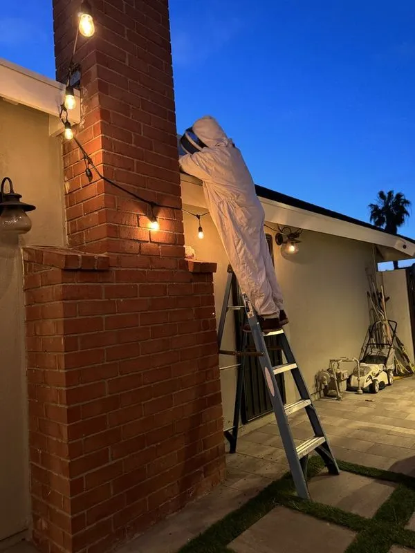 Swarm Pest Control