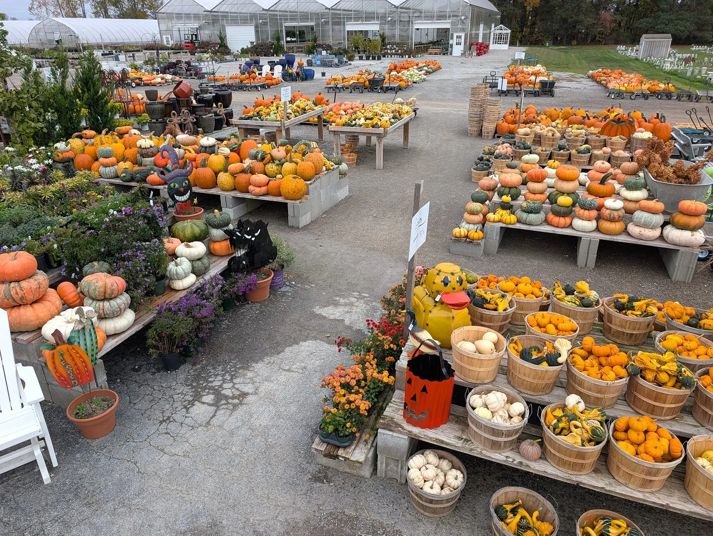 Warmbier Farms