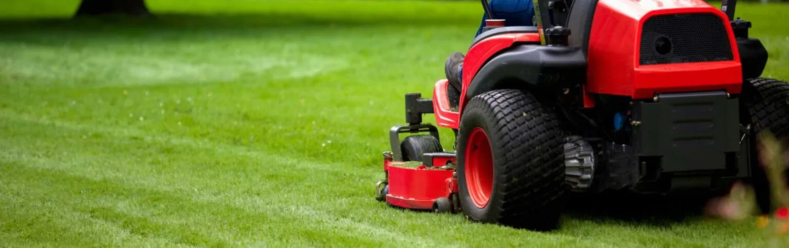 Grown Cuts Lawn Care LLC