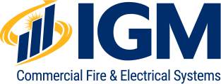 IGM Innovative Solutions logo