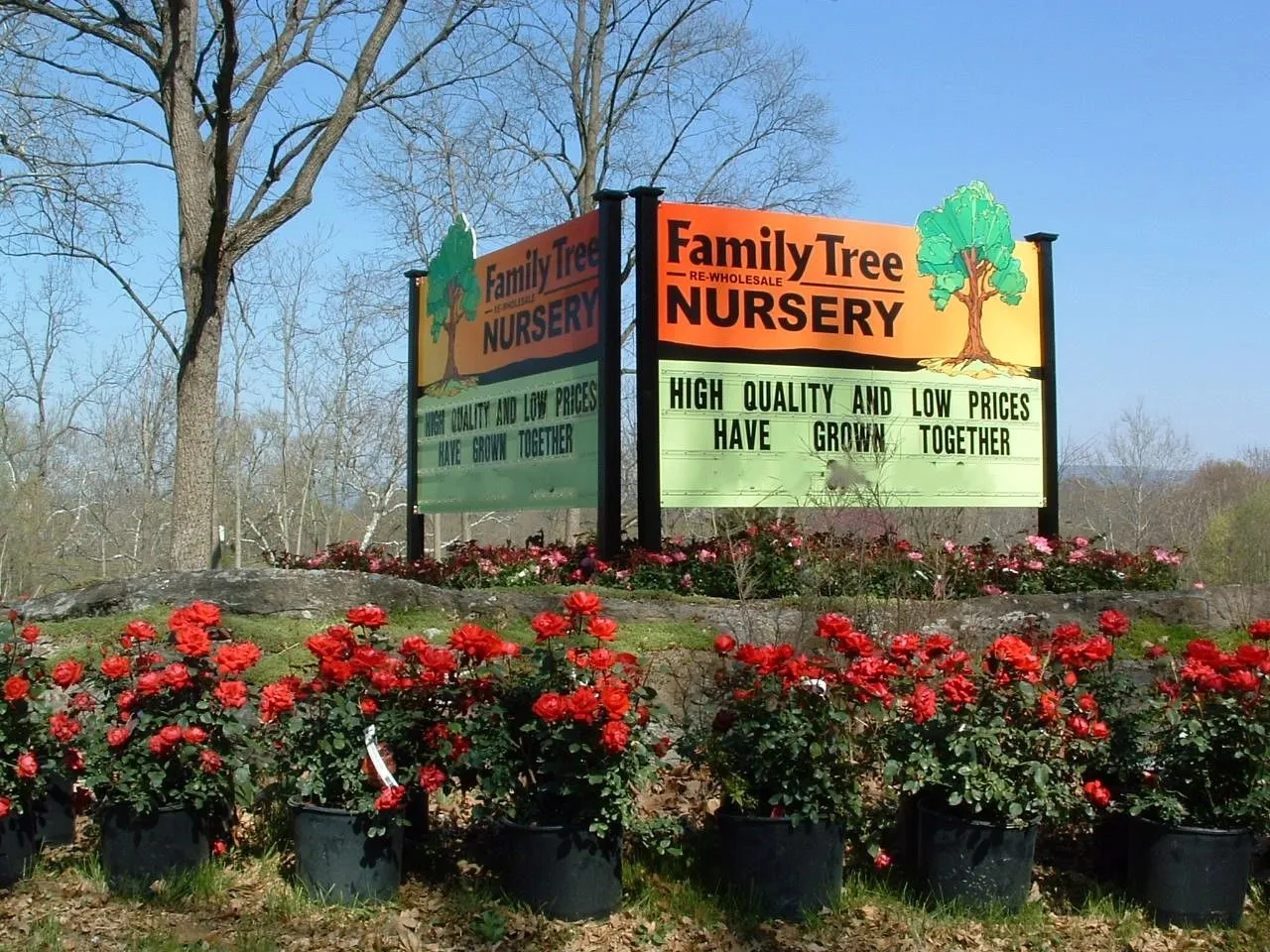 Family Tree Re-Wholesale Nursery