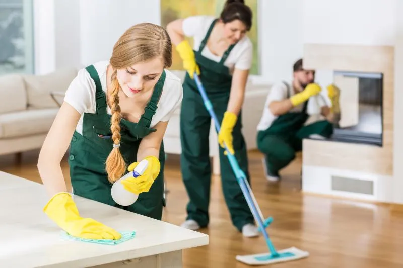 Stanley Maintenance Services LLC