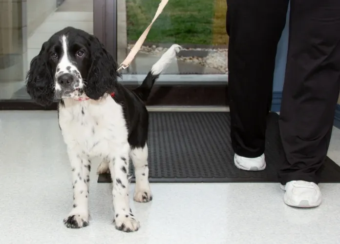 Animal Health Clinic of Funkstown