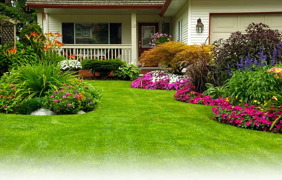 Lucky's Lawn Service