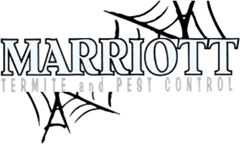 Marriott Termite and Pest Control logo