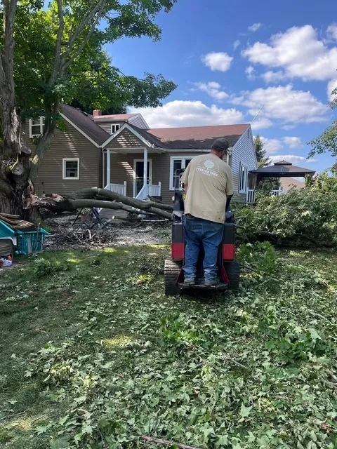 Pfister Tree Service