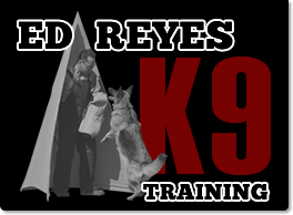 Ed Reyes logo